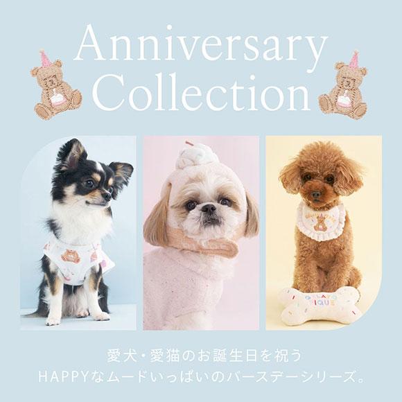 ジェラートピケ