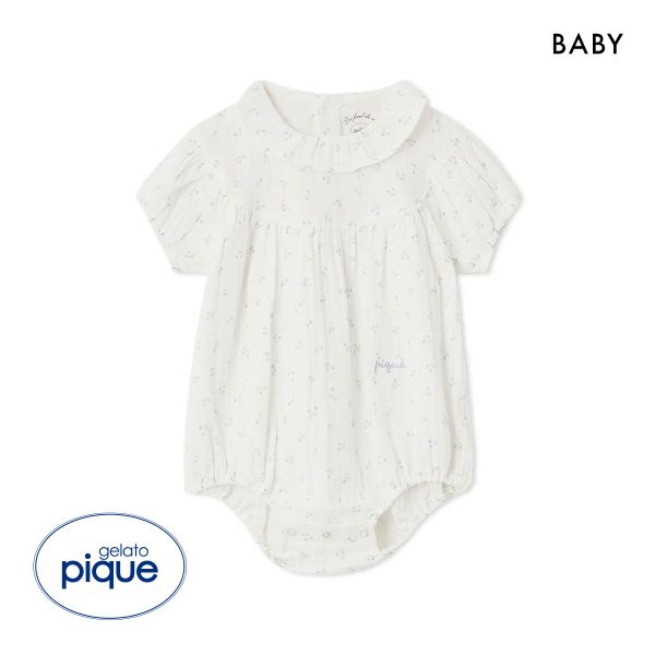 ｼﾞｪﾗｰﾄﾋﾟｹ