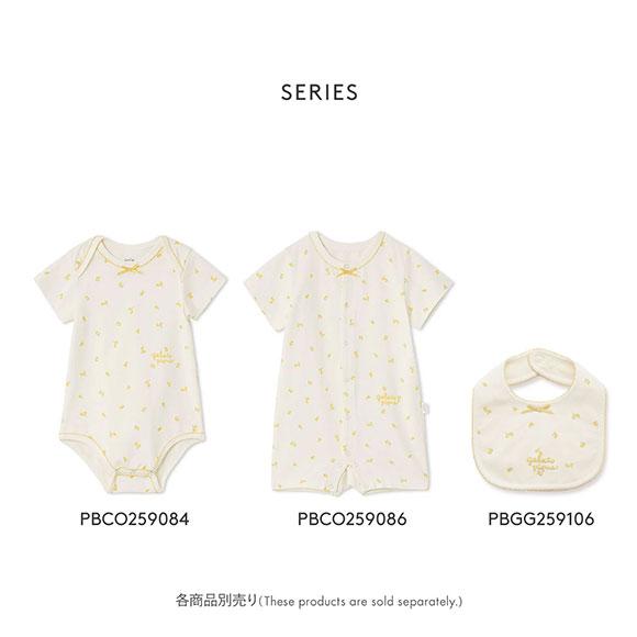 ジェラートピケ