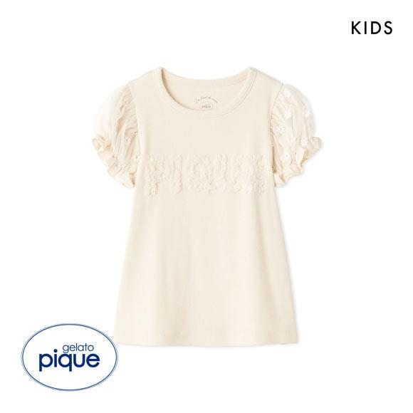 ジェラートピケ