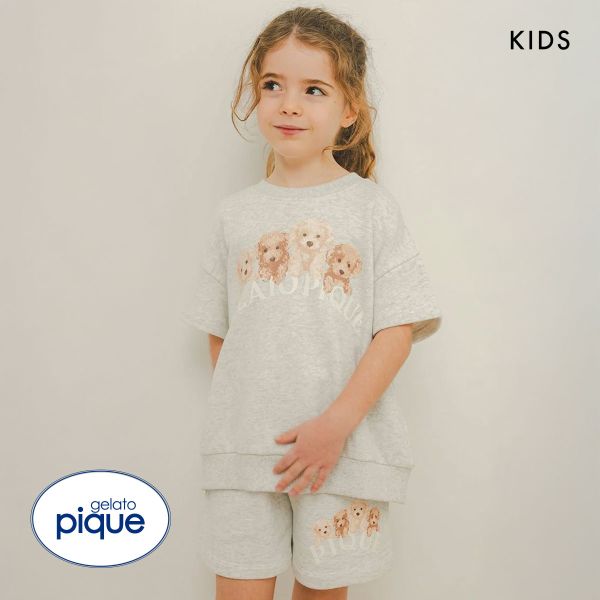 ｼﾞｪﾗｰﾄﾋﾟｹ