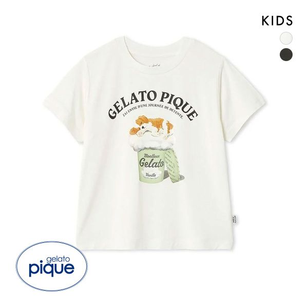 ジェラートピケ