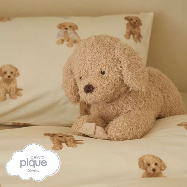 ｼﾞｪﾗｰﾄﾋﾟｹ