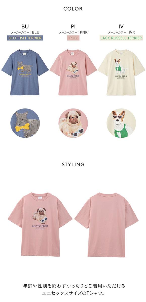 ジェラートピケ