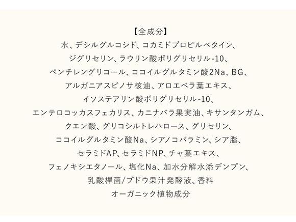 スナイデルホーム