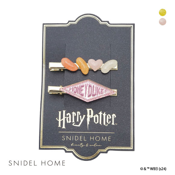 スナイデルホーム