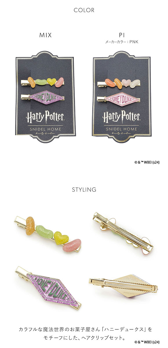 スナイデルホーム