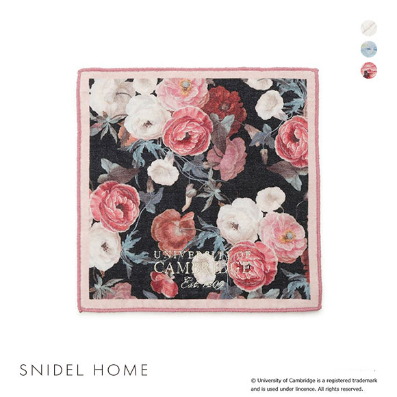 スナイデルホーム