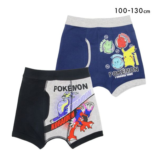 ポケットモンスター