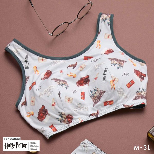 ﾊﾘｰ･ﾎﾟｯﾀｰ