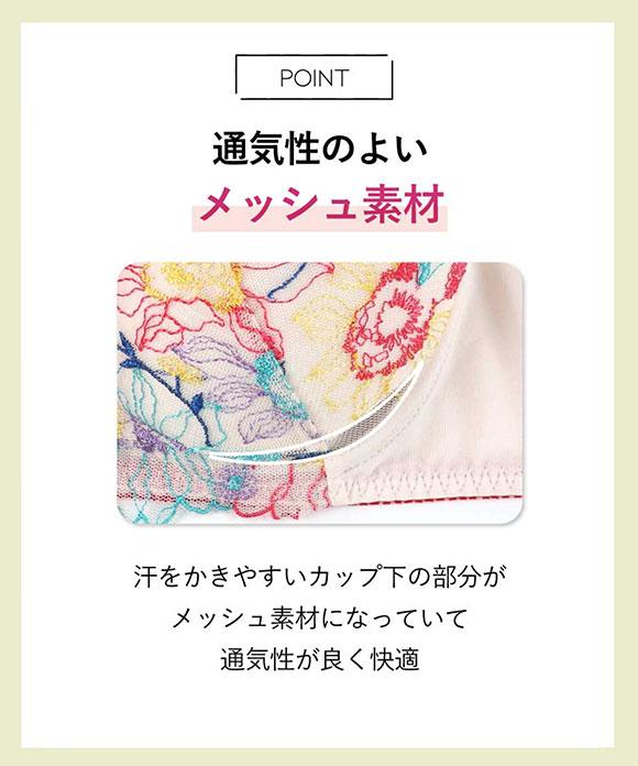 アンフィ