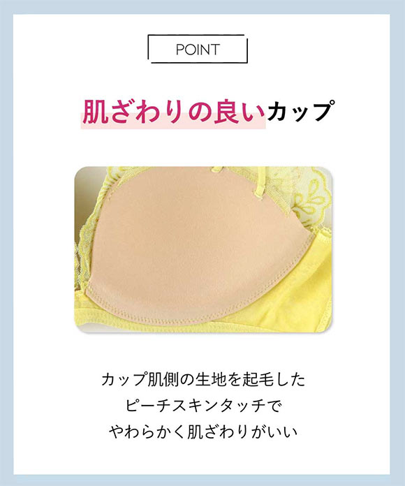 アンフィ