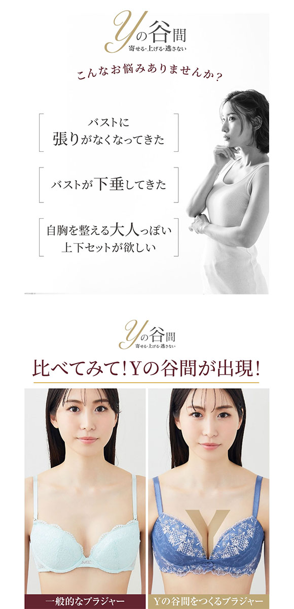 【ニッセンとトリンプ共同企画】Yの谷間をつくるブラジャーショーツセット