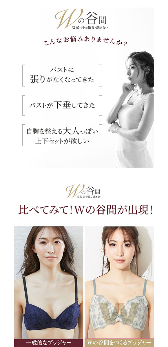 【ニッセンとトリンプ共同企画】Wでバストをあげるブラジャーショーツセット