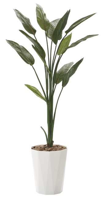 光触媒 人工観葉植物 6種とオーガスタ12060 | tediquori.com