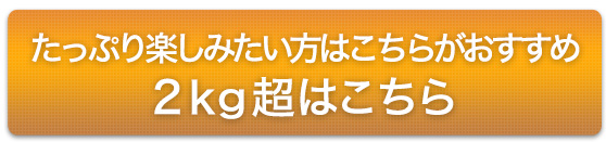 大人数におすすめ