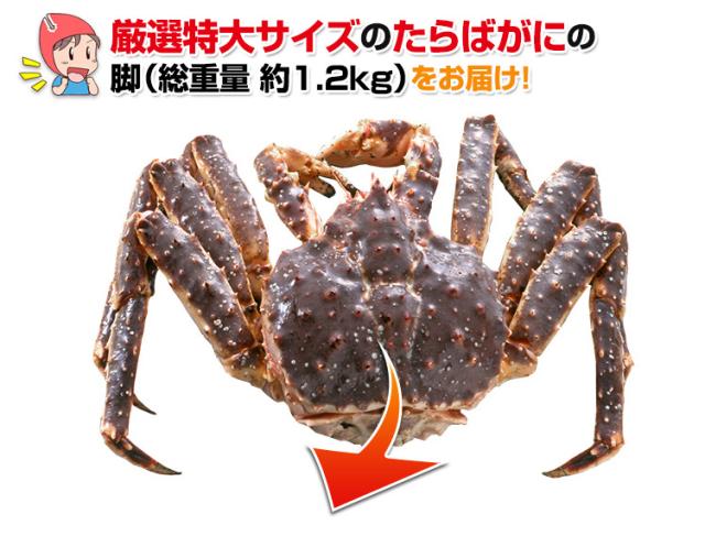 厳選特大サイズのたらばがにの脚（総重量約1.2kg）をお届け！
