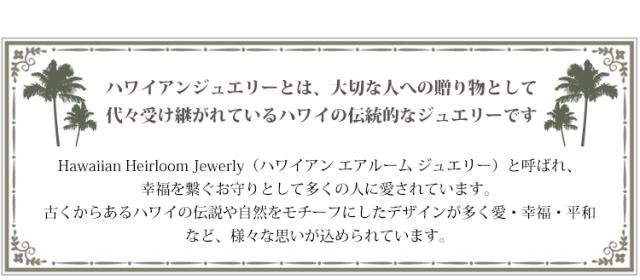 サージカルステンレス