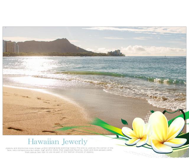 サージカルステンレス