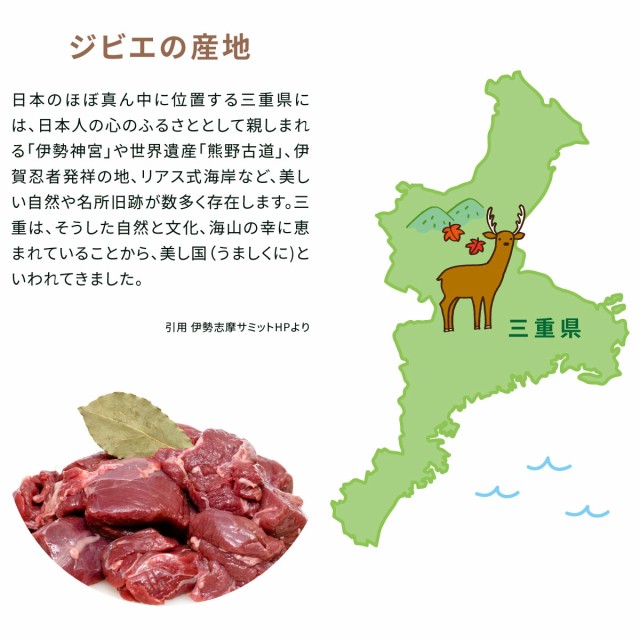 񂱍Y쐶