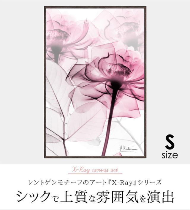 多色花柄キャンバスアート 約60cm x 50cm 092285754.jpg