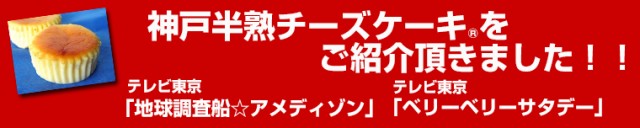 スイーツギフトには神戸フランツ ネット限定!TVで紹介、雑誌で紹介のプリンとチーズケーキのスイーツお試し福袋