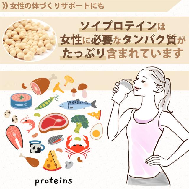 大豆プロテイン instant（アメリカ産）