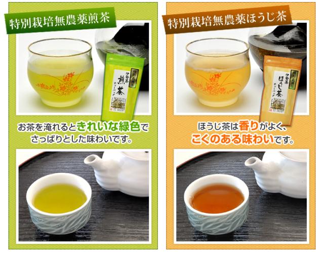 特別栽培無農薬煎茶・特別栽培無農薬ほうじ茶