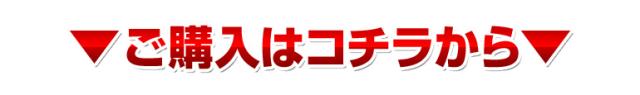 ご購入はコチラから