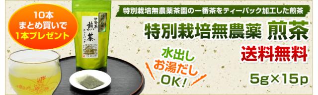 特別栽培無農薬　煎茶