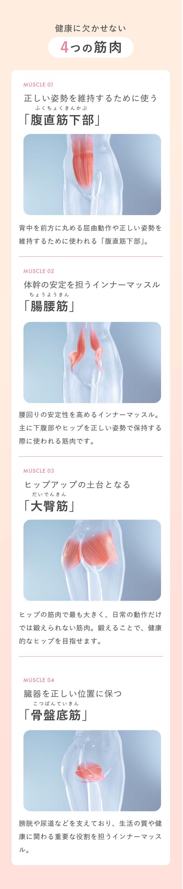 コアヒップ