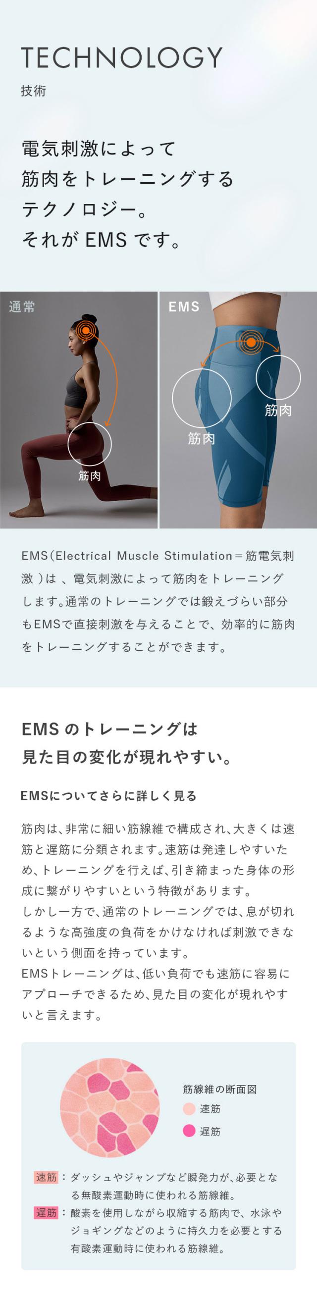 コアヒップ