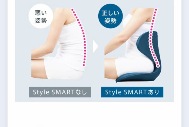 ポイント10倍／ 【座るだけで腰の負担を軽減】 スタイルスマート