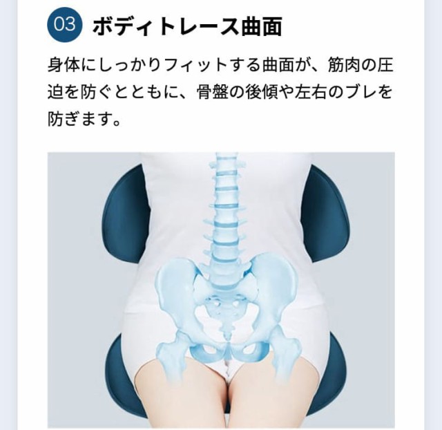 ポイント10倍/ 【座るだけで腰の負担を軽減】 スタイルスマート ポイント10倍/ 【座るだけで腰の負担を軽減】 スタイルスマート