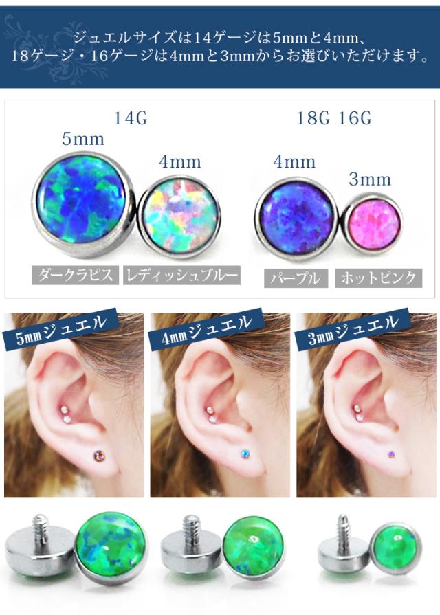 ボディピアスモデル