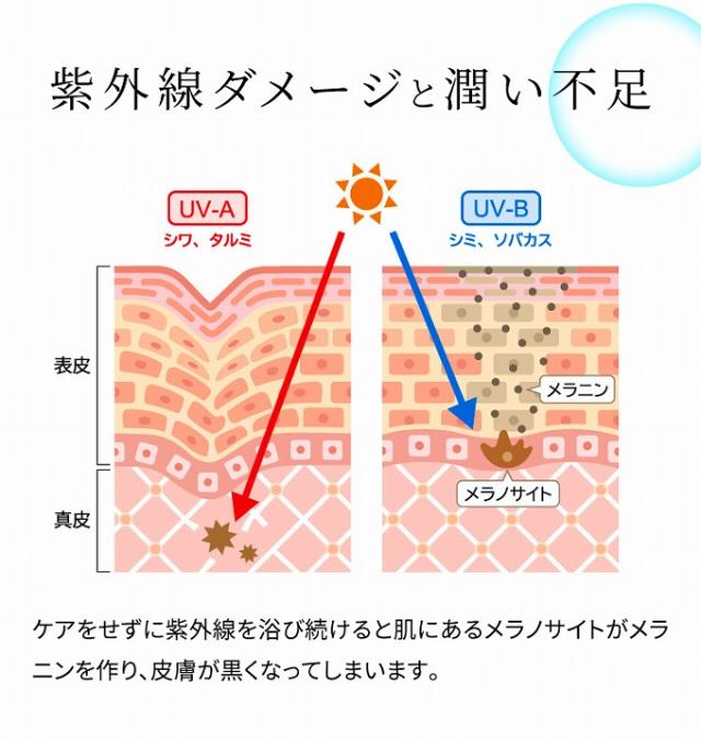 紫外線ダメージと潤い不足