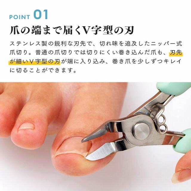 爪 の 端まで 届く V字型 の 刃