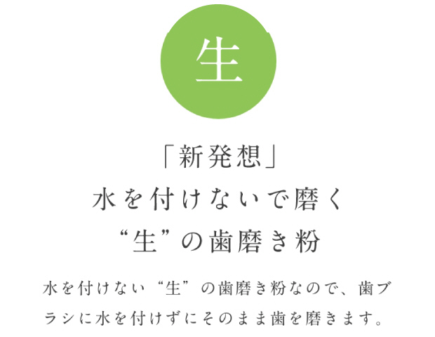 新発想 水を付けないで磨く 生の歯磨き粉