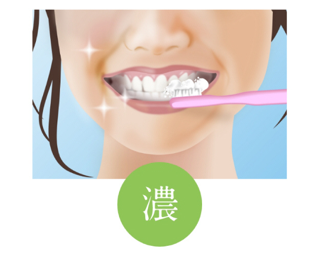 NEW シロク デンタルペースト