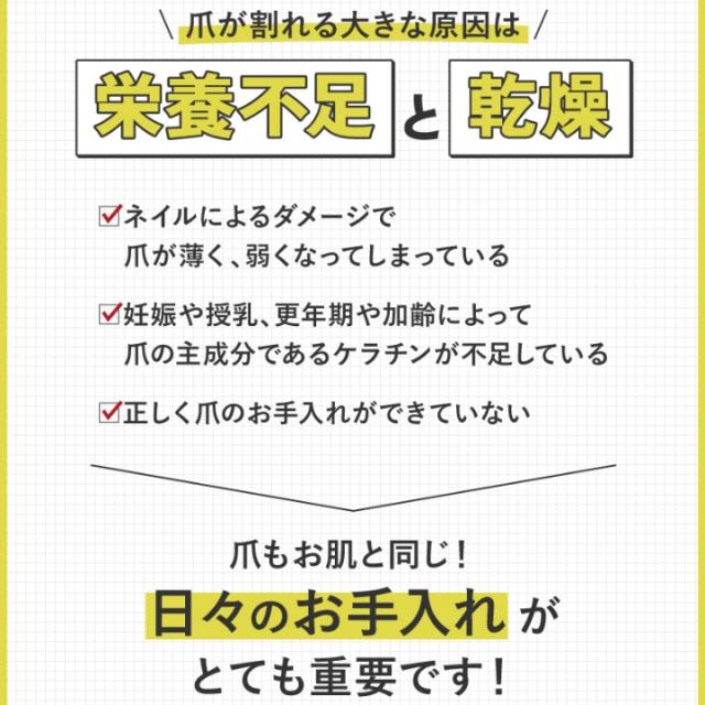 爪が割れる大きな原因は 栄養不足と 乾燥