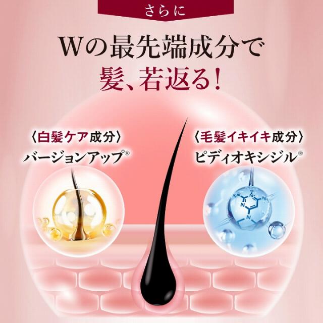白髪ケア成分　毛髪イキイキ成分　