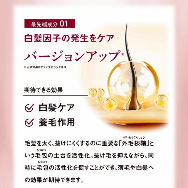 白髪因子の発生をケア　バージョンアップ