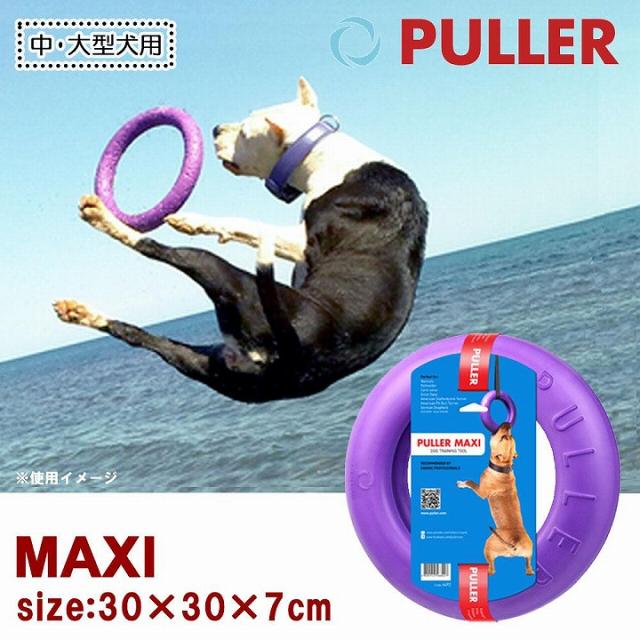 ドッグトレーニング玩具　特大