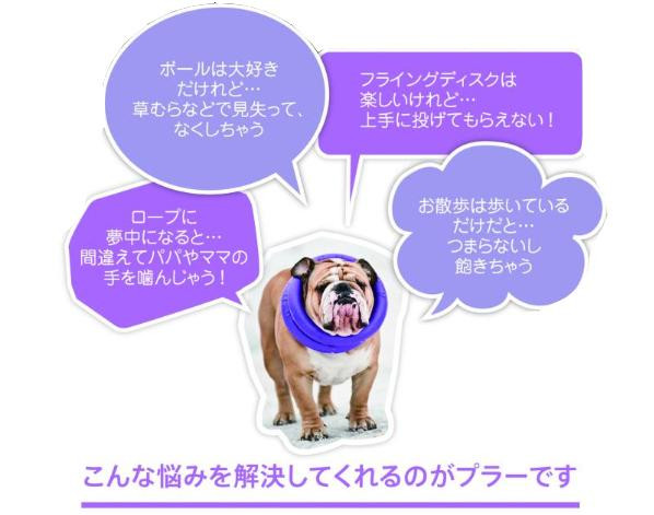 ドッグトレーニング玩具　特大