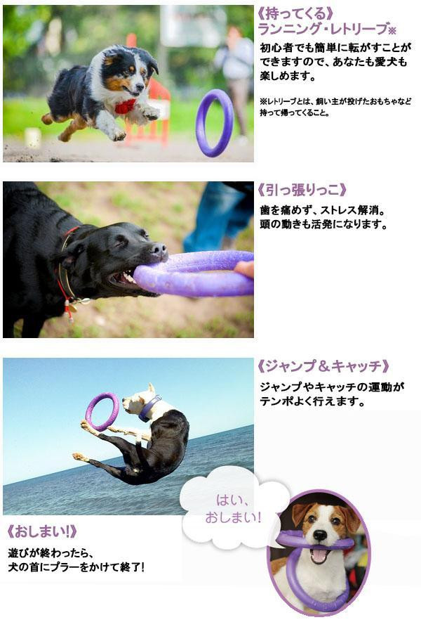 ドッグトレーニング玩具　特大