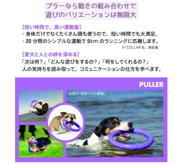 ドッグトレーニング玩具　特大