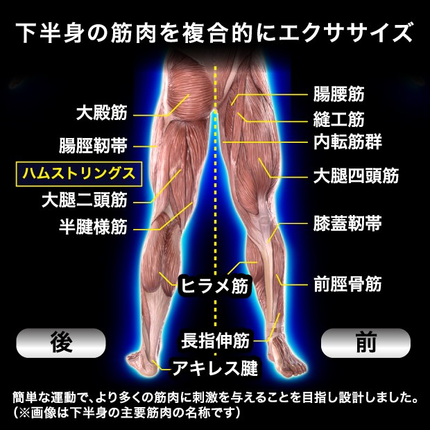 下半身の筋肉を複合的にエクササイズ