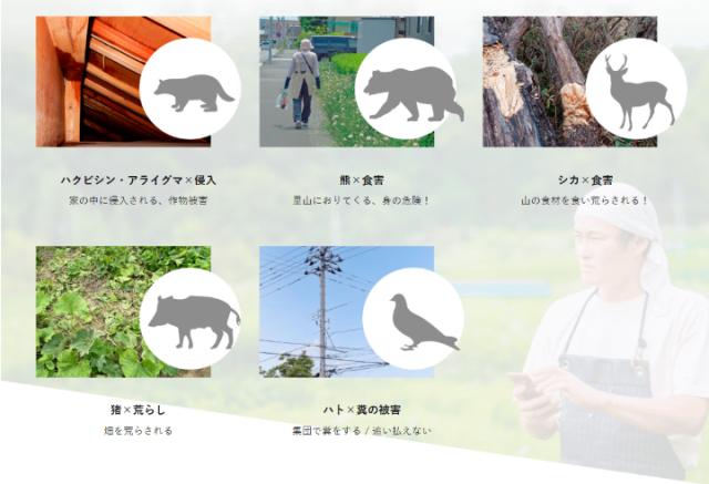 害獣被害にお困りではないですか？