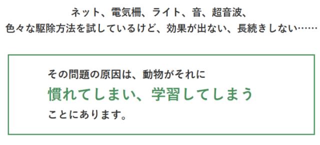 色々な駆除方法を試しているけど、こうかが出ない　長続きしない
