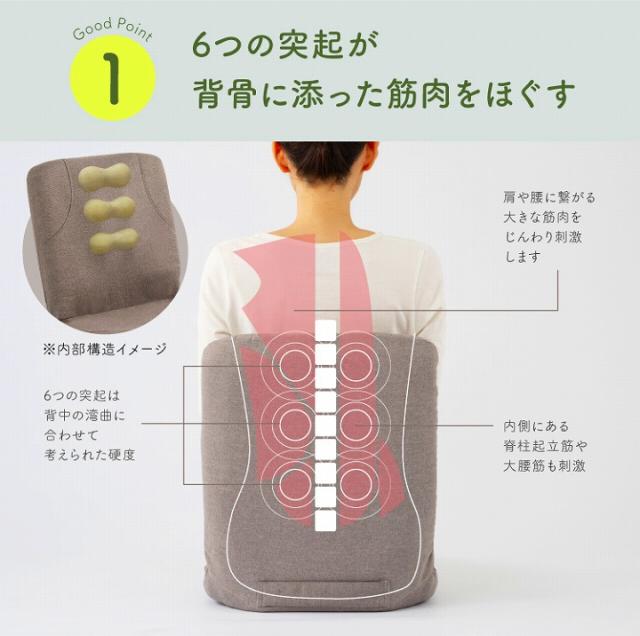 6つの突起が 背骨に添った筋肉をほぐす